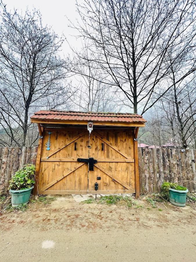 Zeni De Vore Serender & House Aparthotel Rize Eksteriør bilde